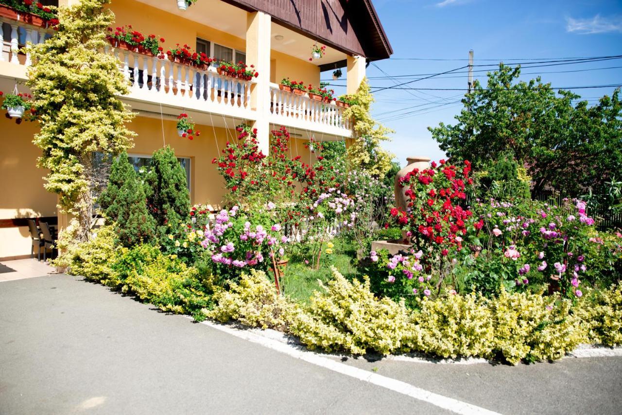 Motel Moara Veche Săcălăşeni 외부 사진